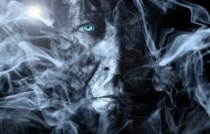Fear 300x191