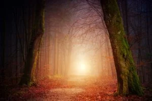 How to be free from suffering and live the meaning of life Free Of Suffering 300x200