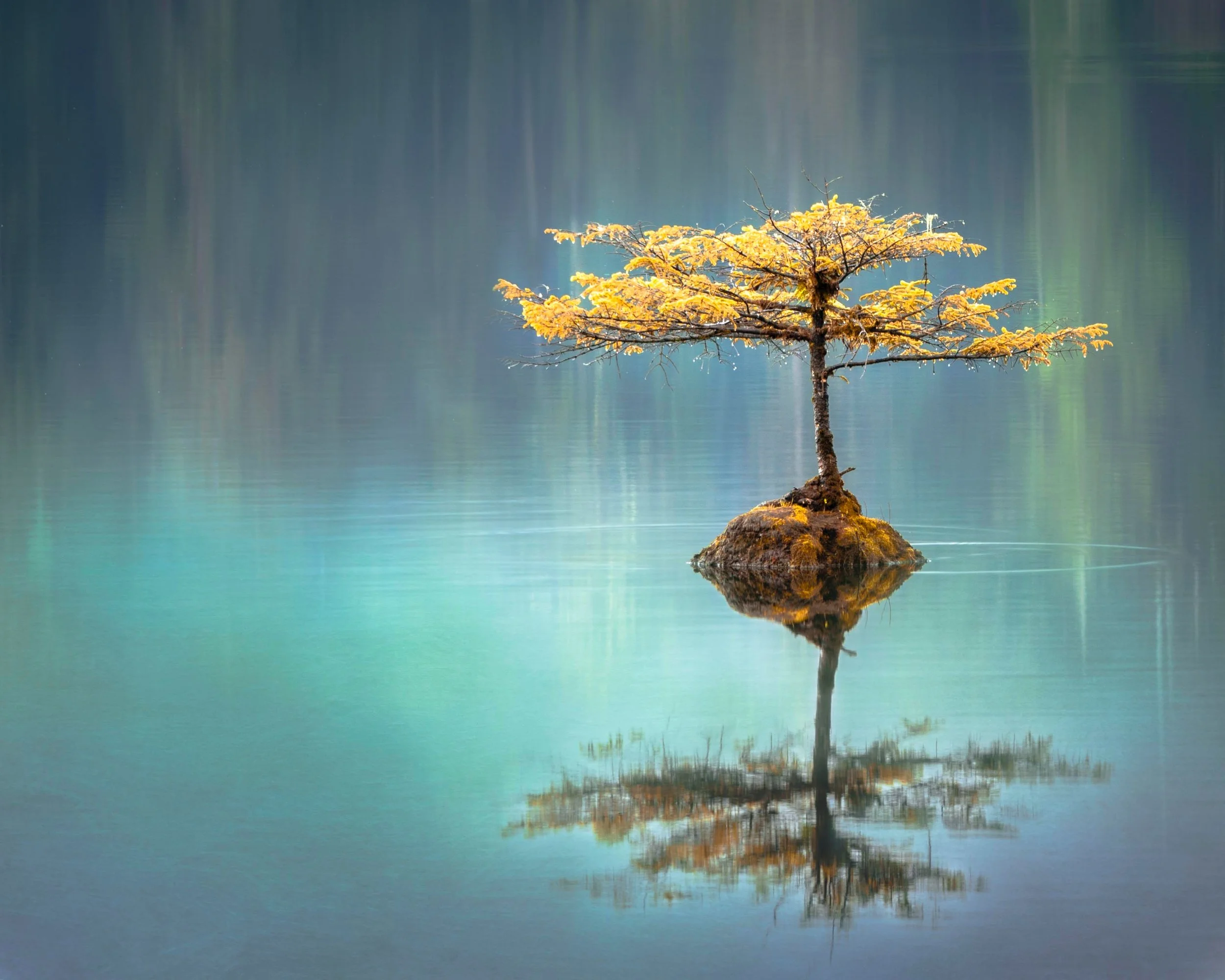 How do you live your own truth and wisdom? Truthandwisdom
