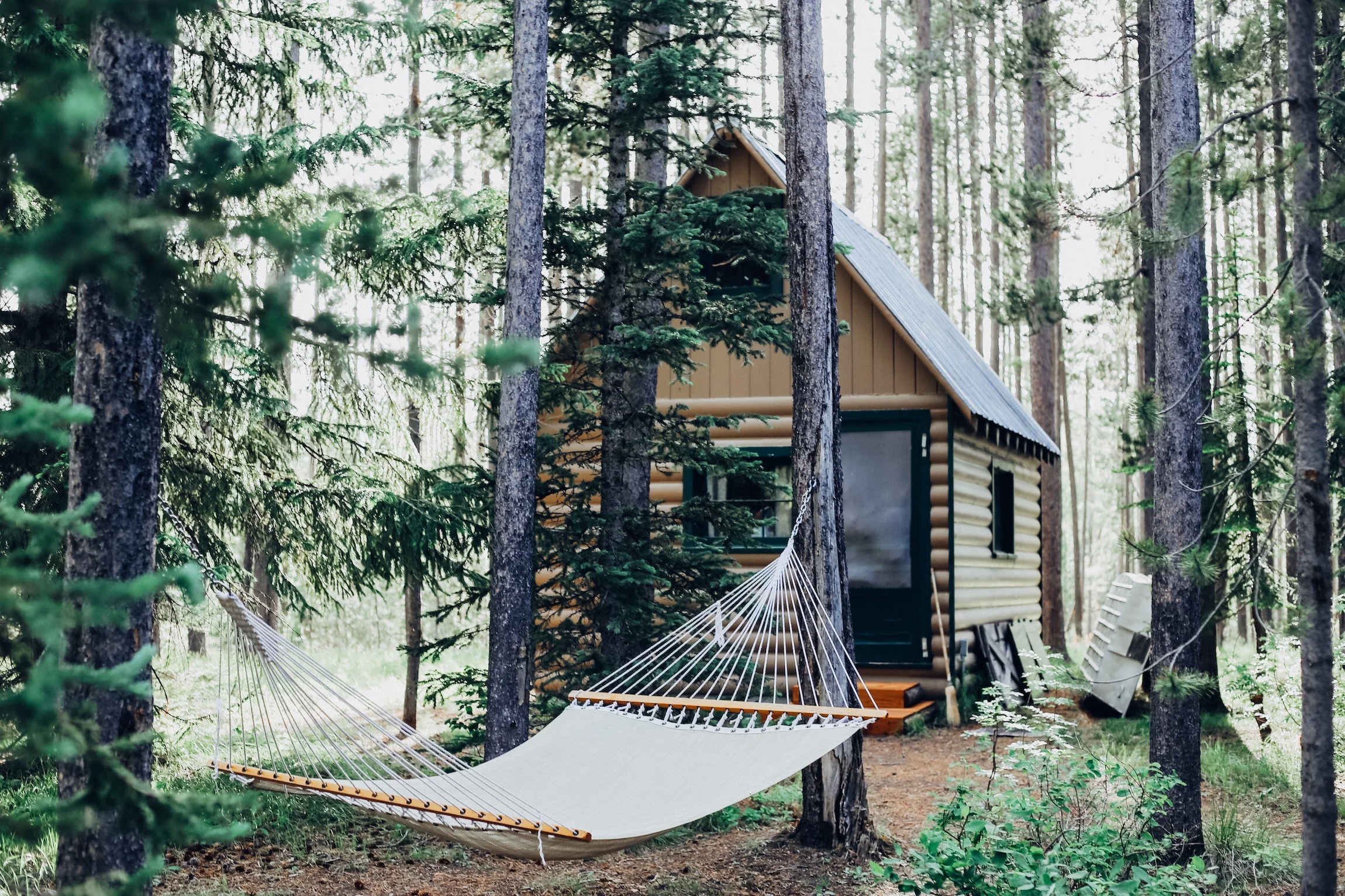 Back From the Wilds Cara Fuller 307535 Unsplash