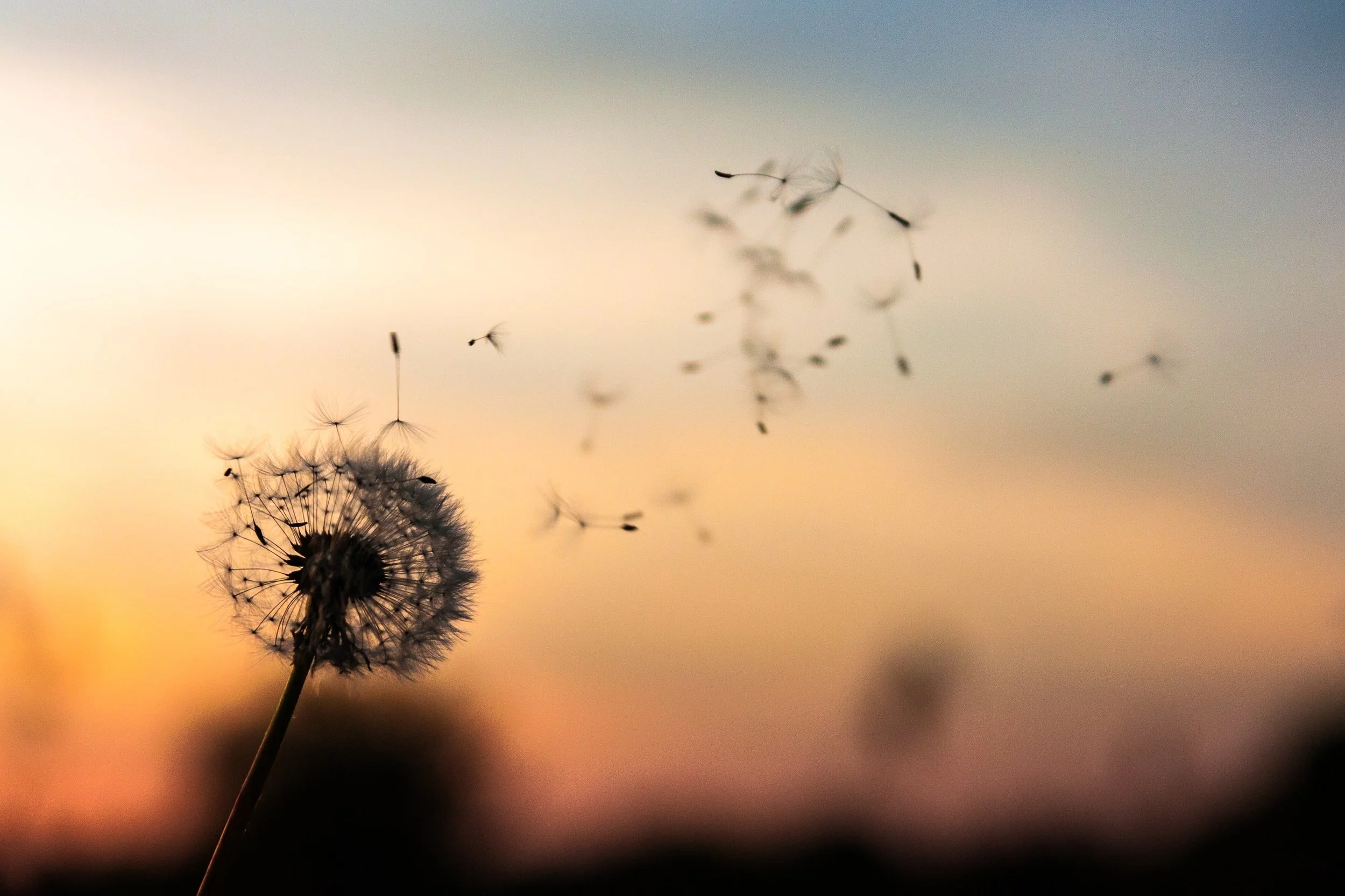 Dawid Zawila Zb2vBaHYB2I Unsplash