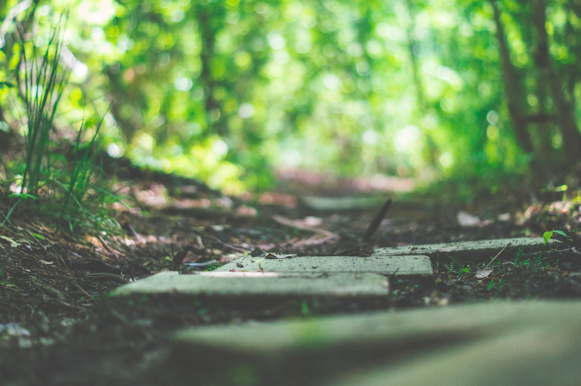 One step at a time Timothy Dykes OUeb1rFI2yk Unsplash