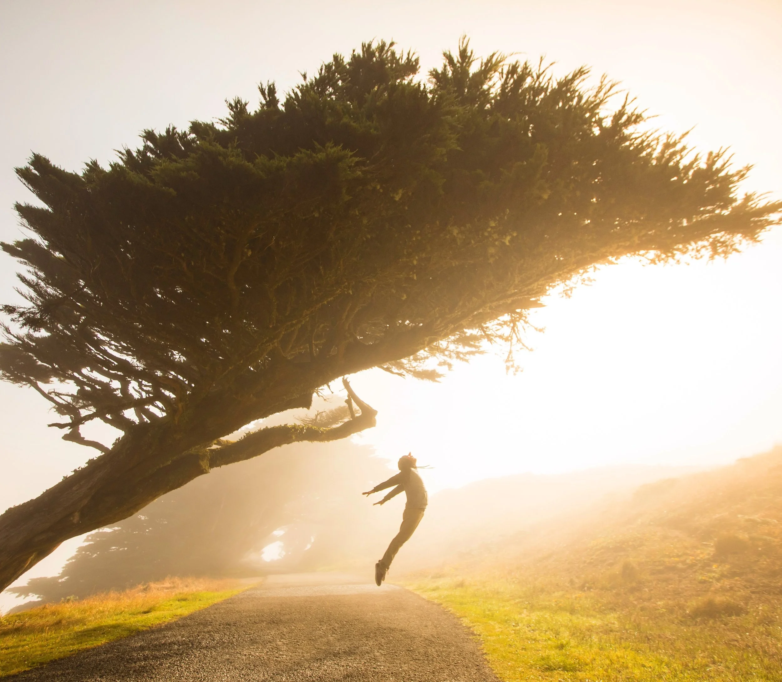 Why 200% of Life? Stephen Leonardi 369718 Unsplash